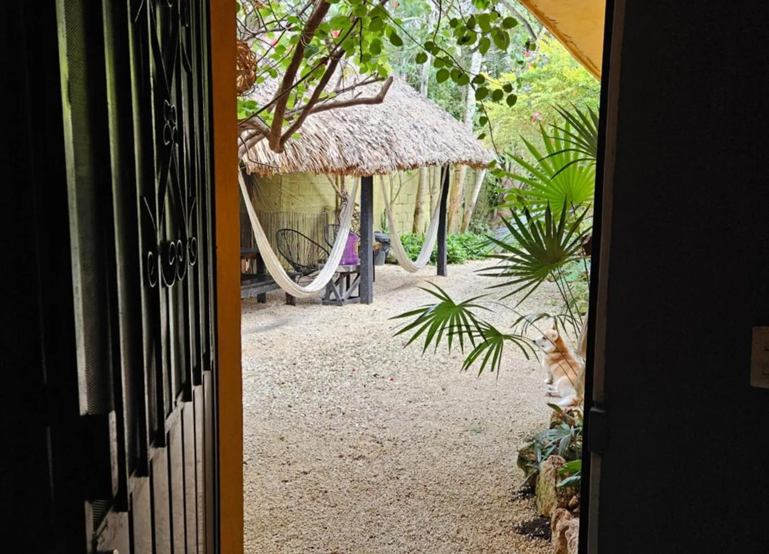 Jungla Bacalar Apartment 0*,  Mexico