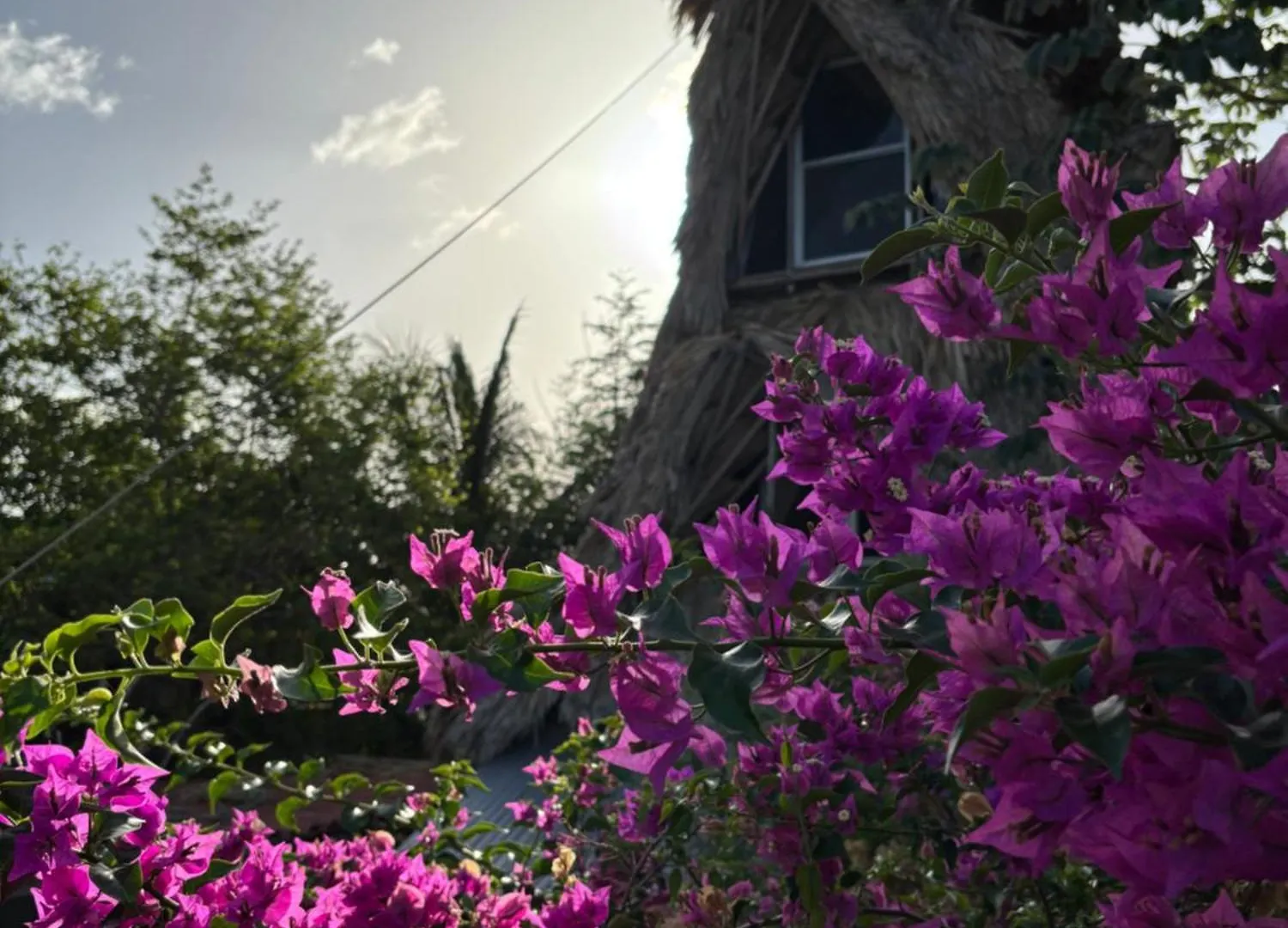Jungla Bacalar Apartment