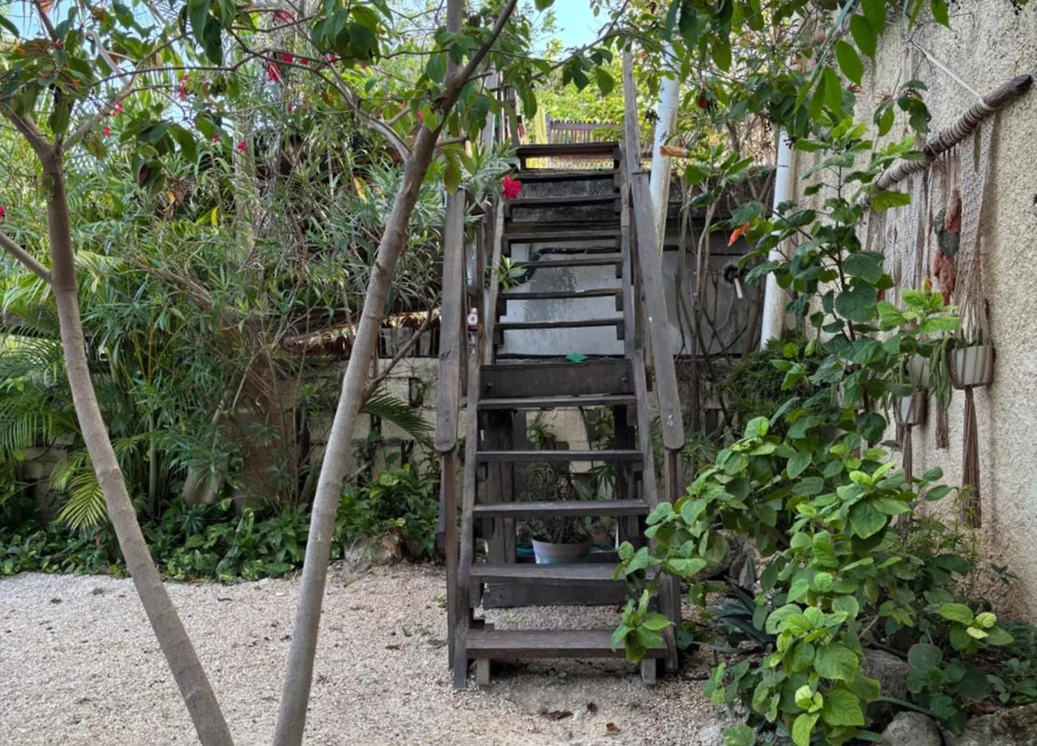 Jungla Bacalar Apartment