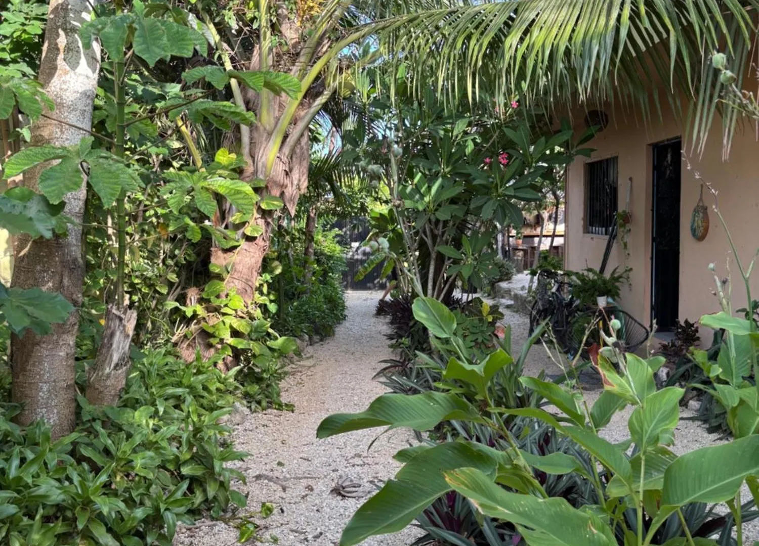 Jungla Bacalar Apartment 0*,