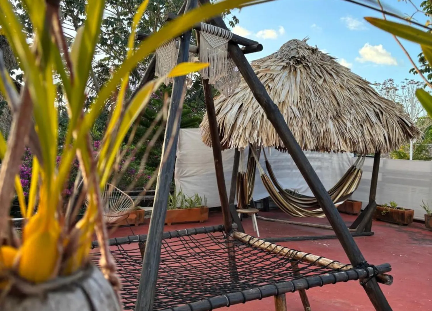 Jungla Bacalar Apartment Mexico