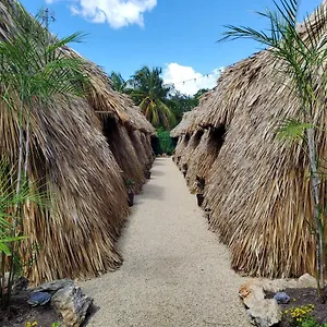  Campingplatz Hakuna Matata Glamping