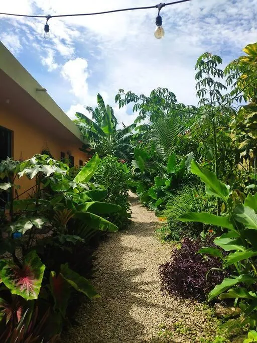 Jungla Bacalar Apartment