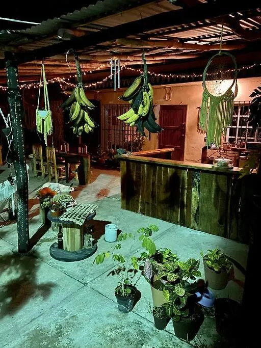 Jungla Bacalar Apartment Mexico