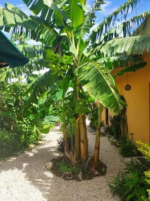 Jungla Bacalar Apartment 0*,  Mexico